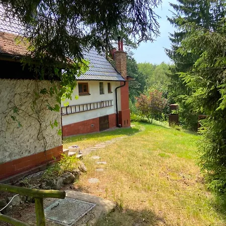 Novy Svet Ruzova
