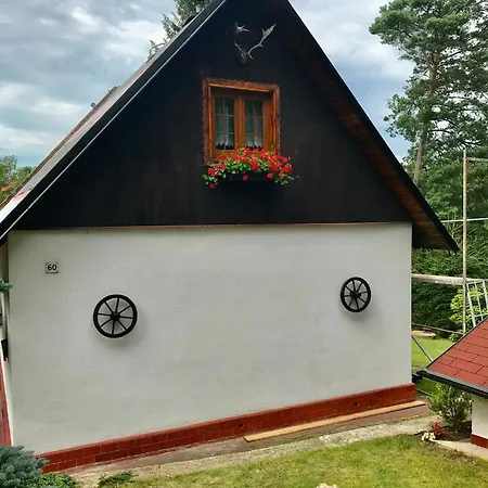 Novy Svet